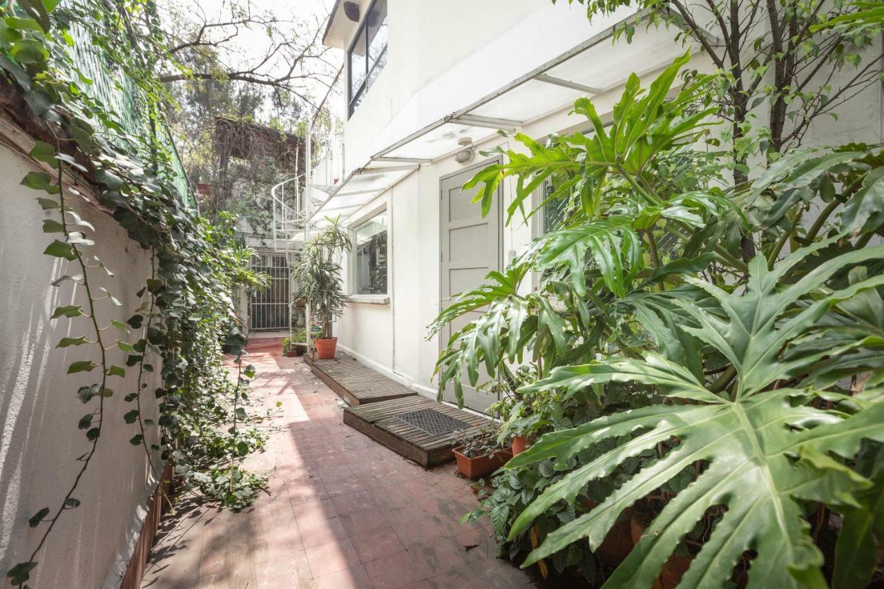 Loft Contemporaneo A 50M De La Plaza Principal De Coyoacan Мехико Экстерьер фото